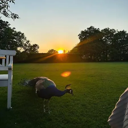 Mastbos Estate Carriage House Apartment Breda