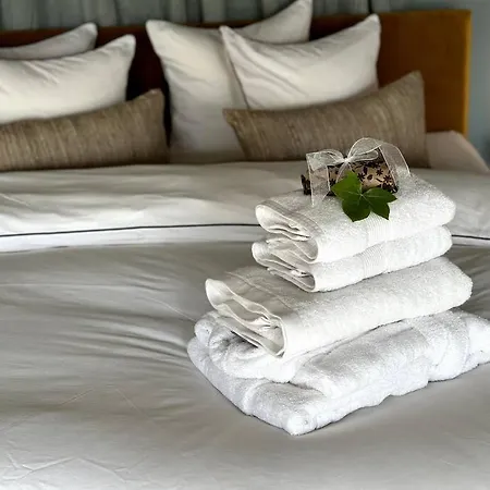 Mastbos Estate Carriage House 公寓