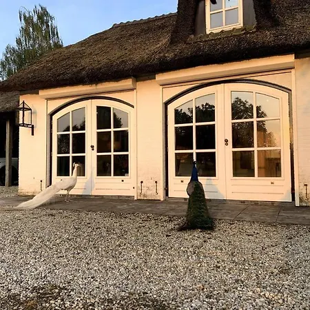 公寓 Mastbos Estate Carriage House *