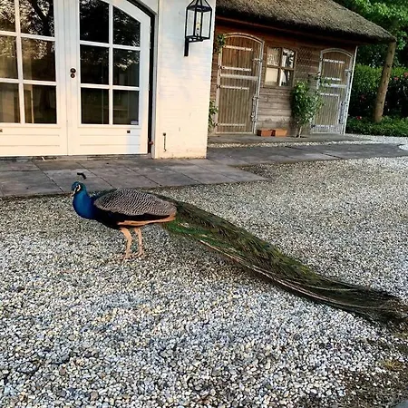 Mastbos Estate Carriage House 公寓 布雷达