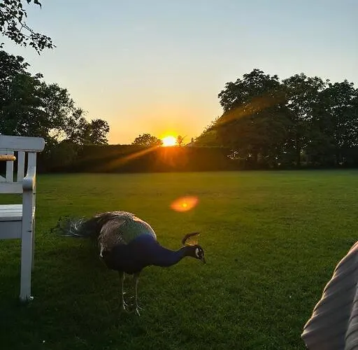 Mastbos Estate Carriage House Appartement Bréda