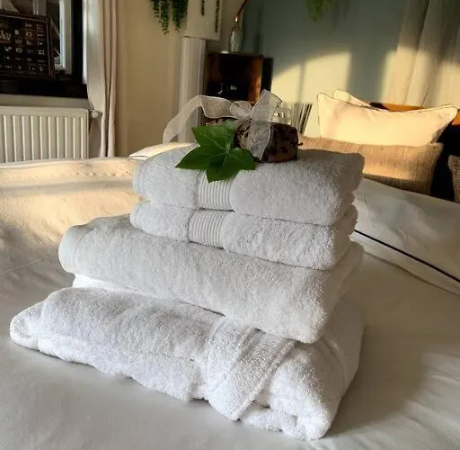 Mastbos Estate Carriage House Breda