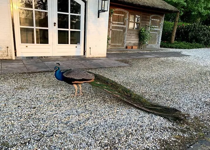 Mastbos Estate Carriage House Apartmán Breda